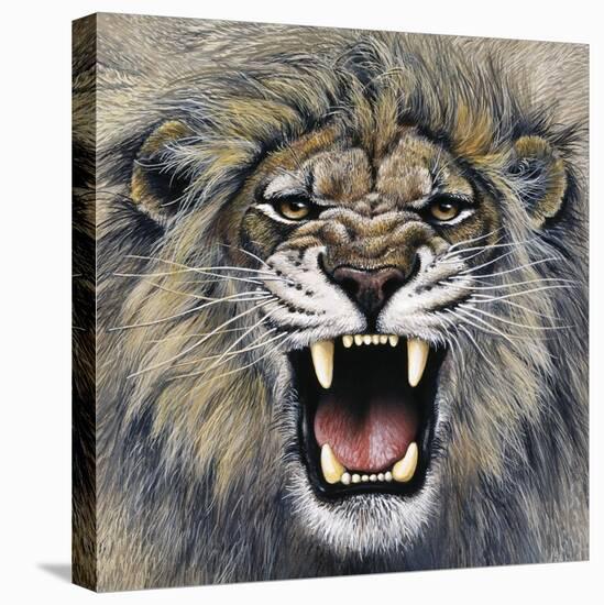 Lion-Harro Maass-Premier Image Canvas