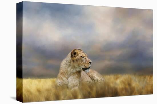 Lioness after the Storm-Jai Johnson-Premier Image Canvas