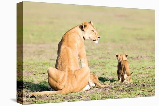 Lioness and cubs, Masai Mara, Kenya, East Africa, Africa-Karen Deakin-Premier Image Canvas