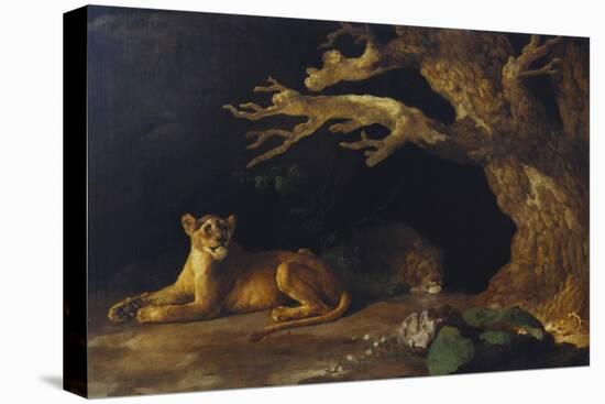 Lioness and Lion in a Cave-George Stubbs-Premier Image Canvas