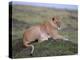 Lioness (Panthera Leo), Masai Mara National Reserve, Kenya, East Africa, Africa-Sergio Pitamitz-Premier Image Canvas