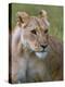 Lioness (Panthera Leo), Masai Mara National Reserve, Kenya, East Africa, Africa-Sergio Pitamitz-Premier Image Canvas