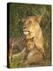 Lioness with Cub, Masai Mara National Reserve, Kenya, East Africa, Africa-James Hager-Premier Image Canvas