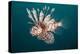 Lionfish-Michele Westmorland-Premier Image Canvas