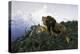 Lions at Dusk-Wilhelm Kuhnert-Premier Image Canvas