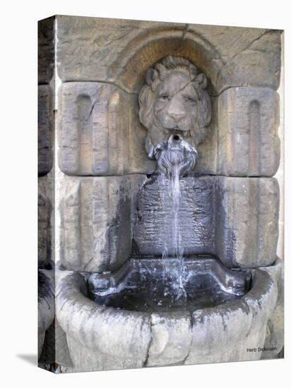 Lions Head Fountain-Herb Dickinson-Premier Image Canvas