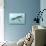 Liopleurodon Marine Reptile, Artwork-Richard Bizley-Premier Image Canvas displayed on a wall