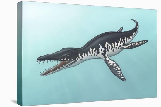 Liopleurodon Marine Reptile, Artwork-Richard Bizley-Premier Image Canvas