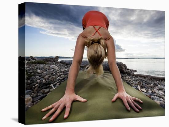 Lisa Eaton Holds a Downward Dog Yoga Pose on the Beach of Lincoln Park - West Seattle, Washington-Dan Holz-Premier Image Canvas