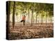 Lisa Eaton Practices Tree Pose in a Rubber Tree Plantation -Chiang Dao, Thaialand-Dan Holz-Premier Image Canvas