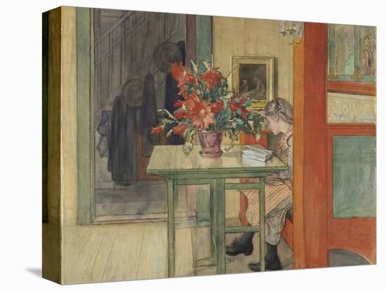 Lisbeth Reading-Carl Larsson-Premier Image Canvas