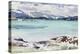 Lisemore and Morven from Mull-Francis Campbell Boileau Cadell-Premier Image Canvas