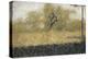 Lisière de bois au printemps-Georges Seurat-Premier Image Canvas