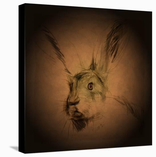 Listening Hare-Tim Kahane-Premier Image Canvas