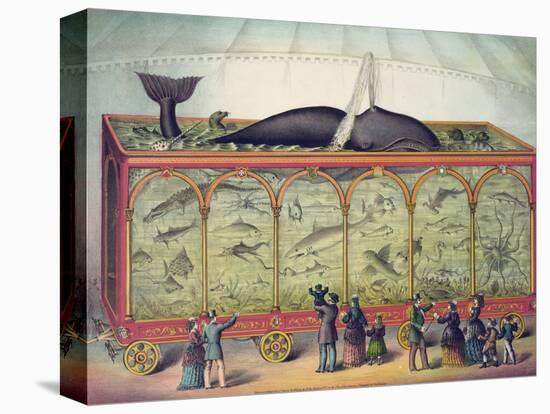 Lithograph of 19th Century Traveling Aquarium-null-Premier Image Canvas