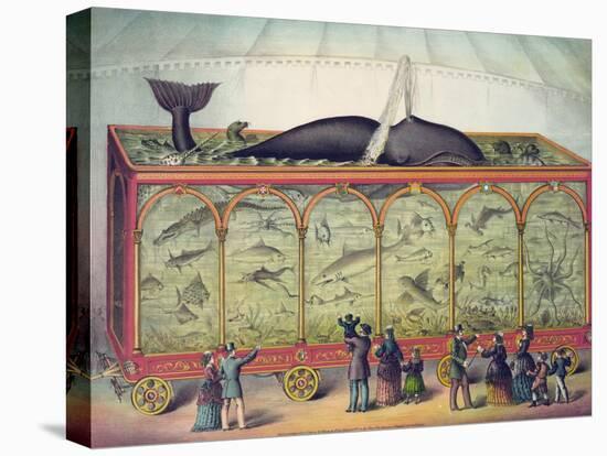 Lithograph of 19th Century Traveling Aquarium-null-Premier Image Canvas