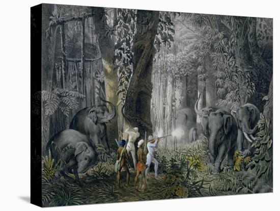 Lithograph of an Elephant Hunt After Graf Andrasy-Stapleton Collection-Premier Image Canvas