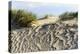 Lithuania, Curonian Spit, Perwalka, Drifting Sand Dune-Catharina Lux-Premier Image Canvas