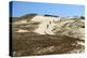 Lithuania, Curonian Spit, Perwalka, Drifting Sand Dune-Catharina Lux-Premier Image Canvas