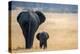 Little and Large, elephant calf and mother, Hwange National Park, Zimbabwe, Africa-Karen Deakin-Premier Image Canvas