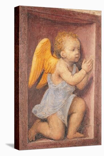 Little angel worshipping-Bernardino Luini-Stretched Canvas