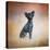 Little Angel Yorkie Poo-Jai Johnson-Premier Image Canvas