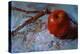 Little Apple-Pam Ingalls-Premier Image Canvas