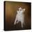 Little Beggar French Bulldog-Jai Johnson-Premier Image Canvas