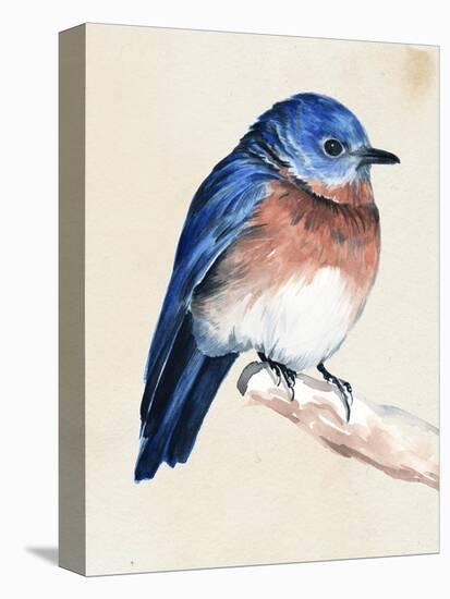 Little Bird on Branch I-Jennifer Paxton Parker-Stretched Canvas