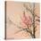 Little Blossom-Thomas Leung-Premier Image Canvas