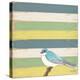 Little Blue Bird-Tammy Kushnir-Premier Image Canvas