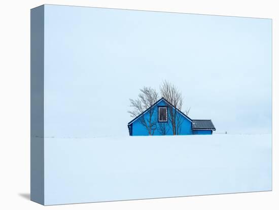 Little blue house-Marco Carmassi-Premier Image Canvas