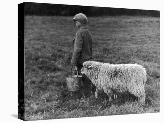Little Boy Carring a Metal Pail of Feed is Followed by a Hungry Sheep!-null-Premier Image Canvas