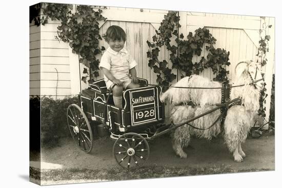 Little Boy in Goat Cart-null-Stretched Canvas