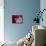 Little Briar Rose-Natasha Wescoat-Premier Image Canvas displayed on a wall