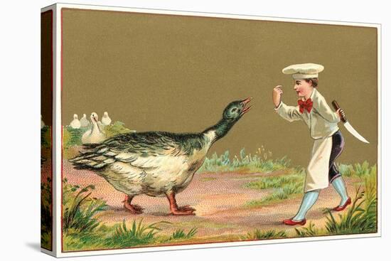 Little Chef Luring Goose-null-Stretched Canvas