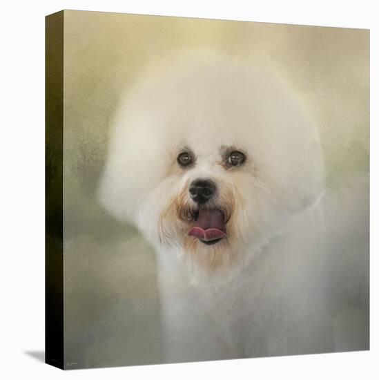 Little Cotton Ball Bichon Frise-Jai Johnson-Premier Image Canvas