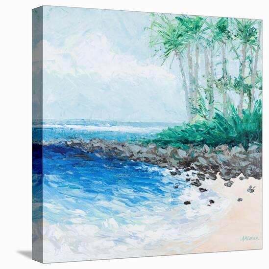 Little Cove-Ann Marie Coolick-Stretched Canvas