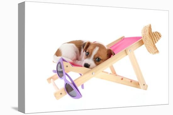 Little Cute Beach Puppy Resting In Chair-Ivonnewierink-Premier Image Canvas