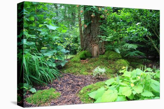 Little Fairy Tale Door in a Tree Trunk.-Hannamariah-Premier Image Canvas