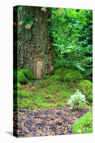 Little Fairy Tale Door in a Tree Trunk.-Hannamariah-Premier Image Canvas