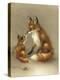 Little Fox Lost-Peggy Harris-Premier Image Canvas