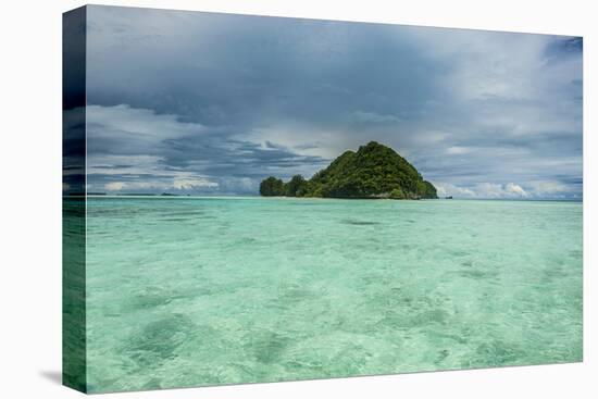 Little Island in the Rock Islands, Palau, Central Pacific-Michael Runkel-Premier Image Canvas