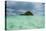 Little Island in the Rock Islands, Palau, Central Pacific-Michael Runkel-Premier Image Canvas