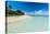 Little Island with a White Sand Beach in Haapai, Haapai Islands, Tonga, South Pacific, Pacific-Michael Runkel-Premier Image Canvas