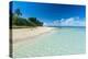 Little Island with a White Sand Beach in Haapai, Haapai Islands, Tonga, South Pacific, Pacific-Michael Runkel-Premier Image Canvas