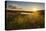 Little Lake at Sunset, Nyika National Park, Malawi, Africa-Michael Runkel-Premier Image Canvas