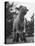 Little Lamb Posing for the Camera-Wallace Kirkland-Premier Image Canvas