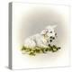 Little Lambsy Divey-Peggy Harris-Premier Image Canvas