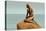 Little Mermaid Statue-null-Stretched Canvas